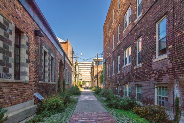 Detroit Green Garage Alley