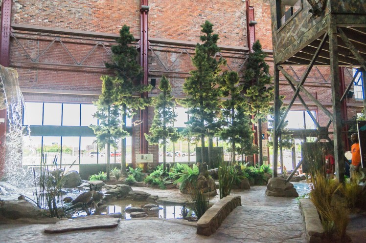 Detroit Outdoor Adventure Center, Michigan