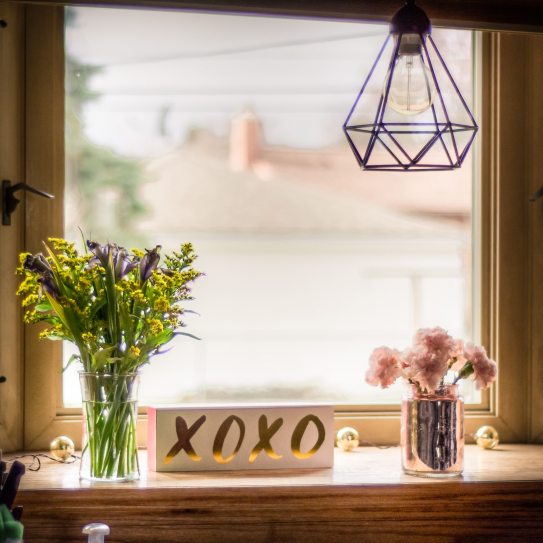 16936083_920626248073558_574602942_o