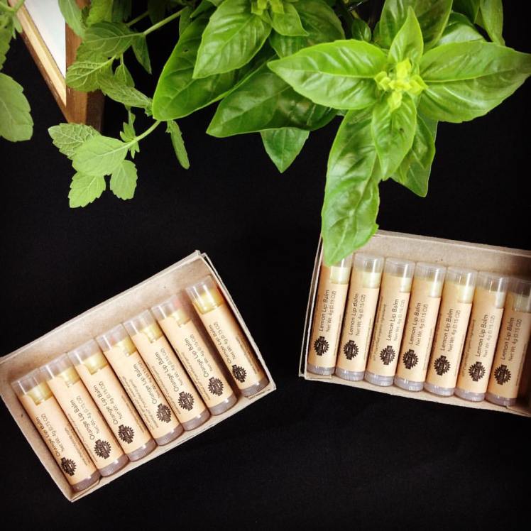 13975527_1097225873689346_877739535380304366_o