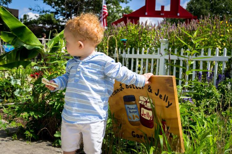 MSU Horticulture Gardens