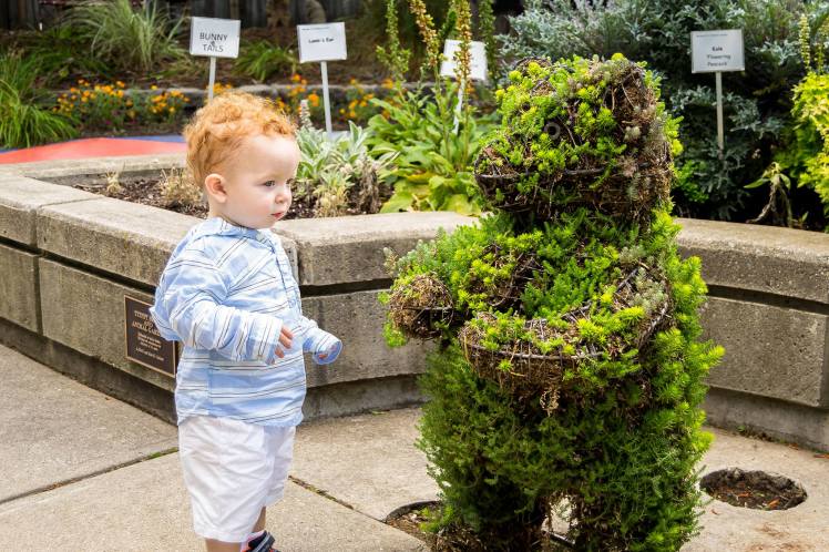 21082146_1036020029867512_1473577966_o