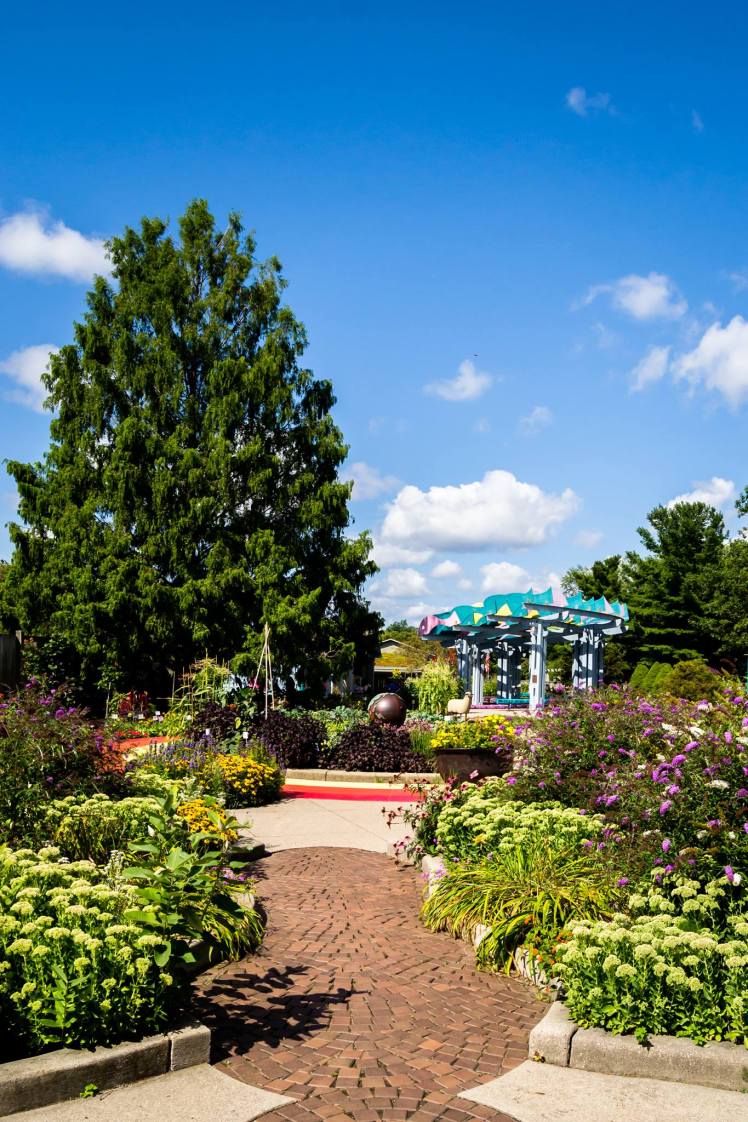 21082294_1036020129867502_331561466_o