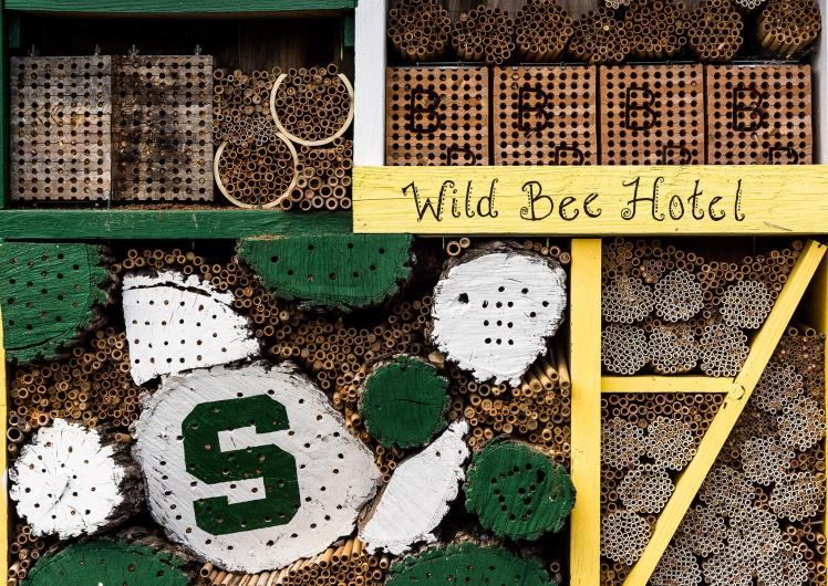 21124938_1036029059866609_2057964246_o