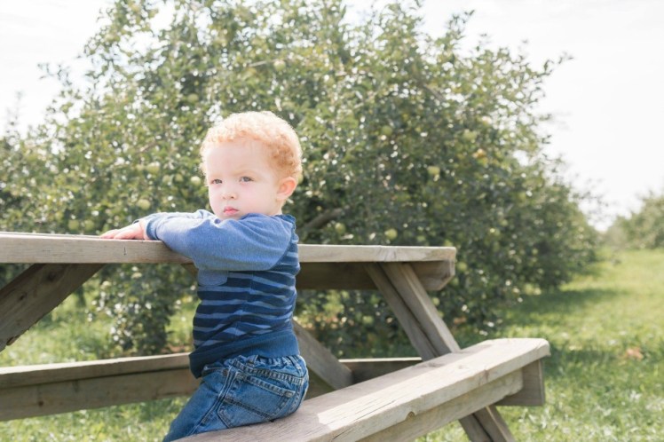 40242567_1858419927559609_2954545334774136832_n