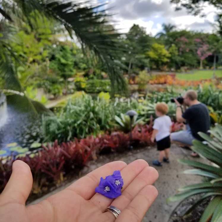 41838102_10110584996753473_7582579553508261888_o