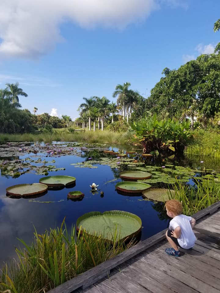 42059419_10110590715153753_1076459443081707520_n